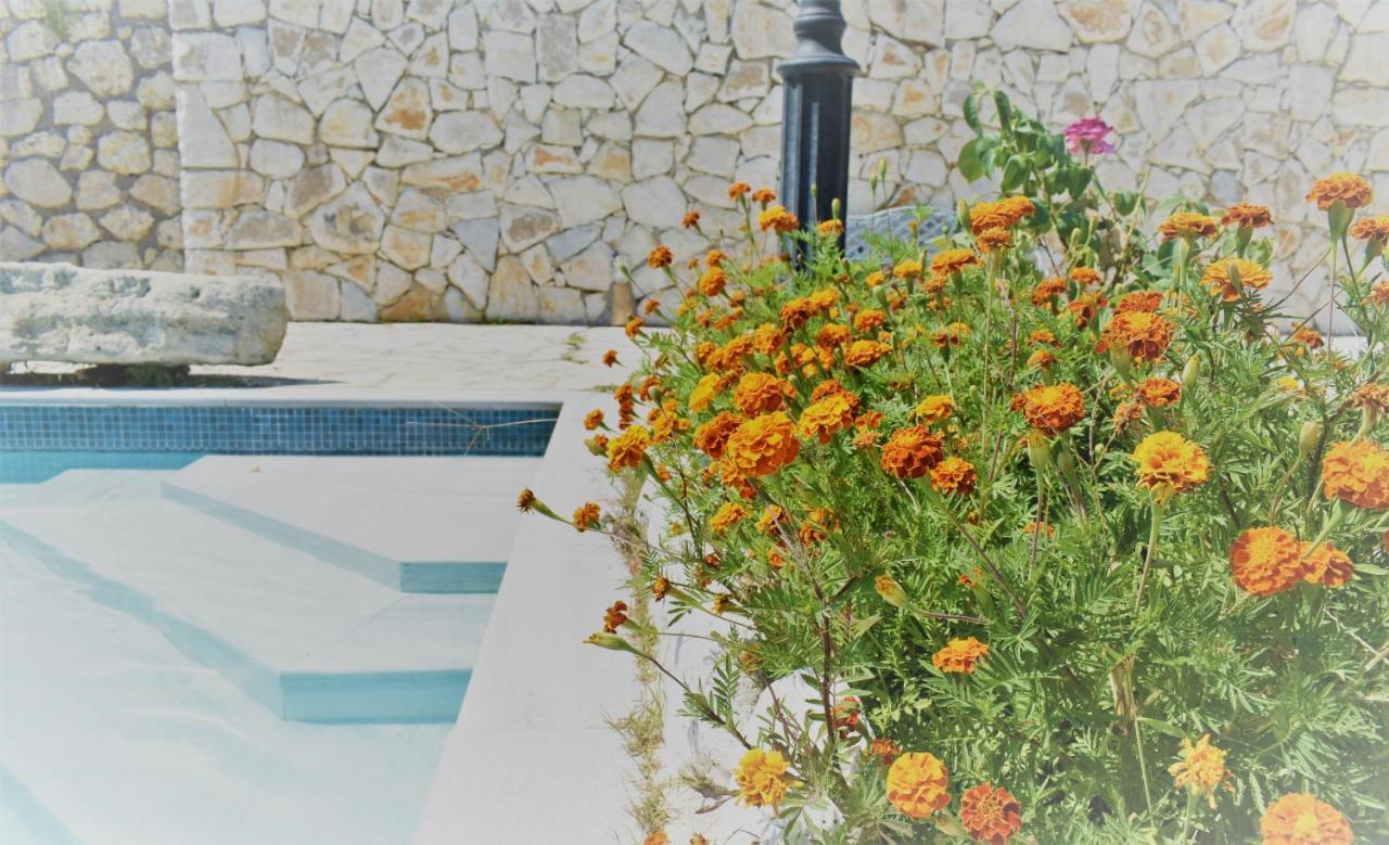 Estate Dafnopanagia Villa Magda Asprogerakata Экстерьер фото