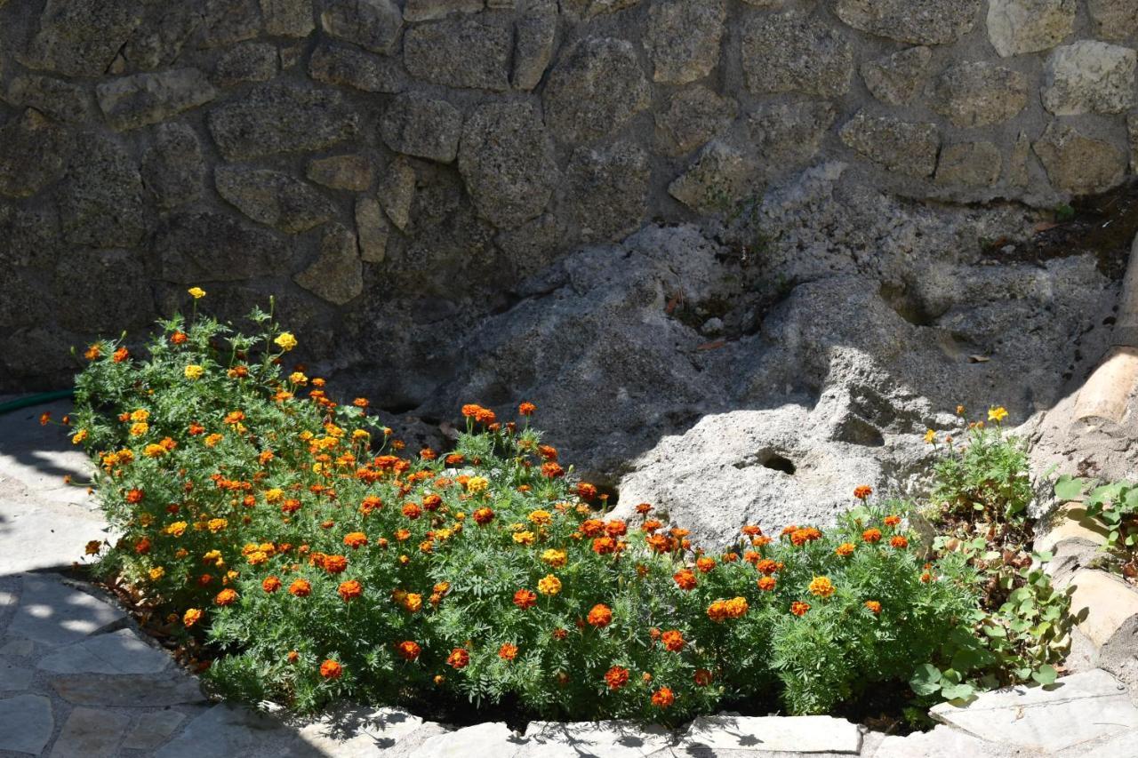 Estate Dafnopanagia Villa Magda Asprogerakata Экстерьер фото